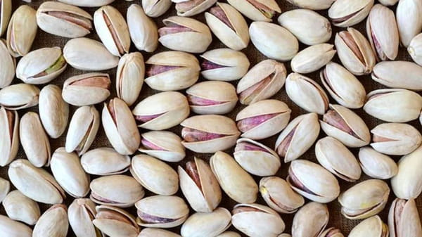 قیمت خرید پسته خندان با فروش عمده